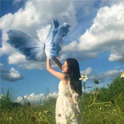 再见橄榄树